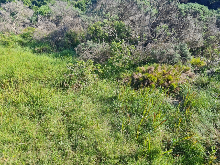 0 Bedroom Property for Sale in Paradise Beach Eastern Cape